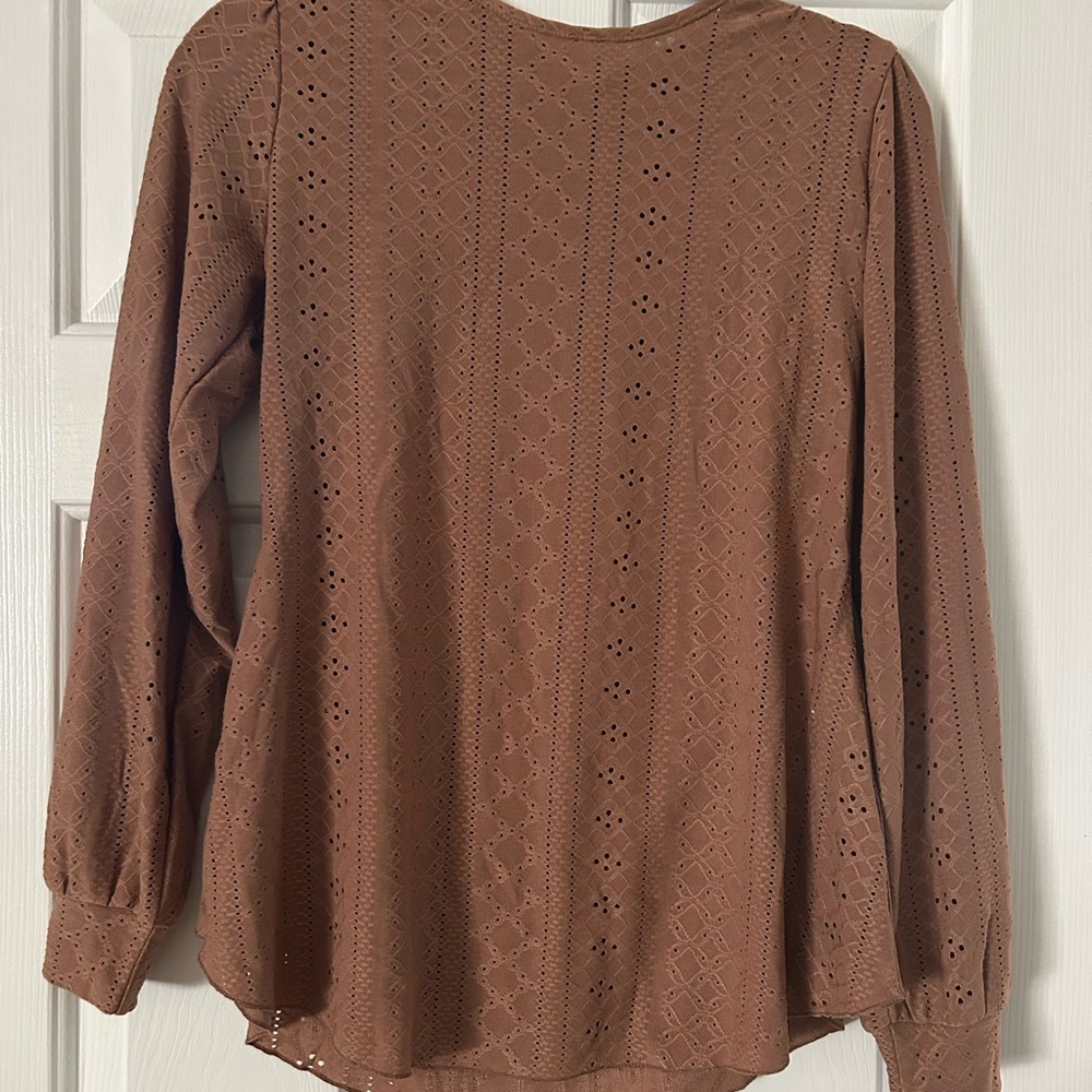 Brown Long Sleeve Blouse with Classic Style